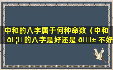 中和的八字属于何种命数（中和 🦆 的八字是好还是 🐱 不好）